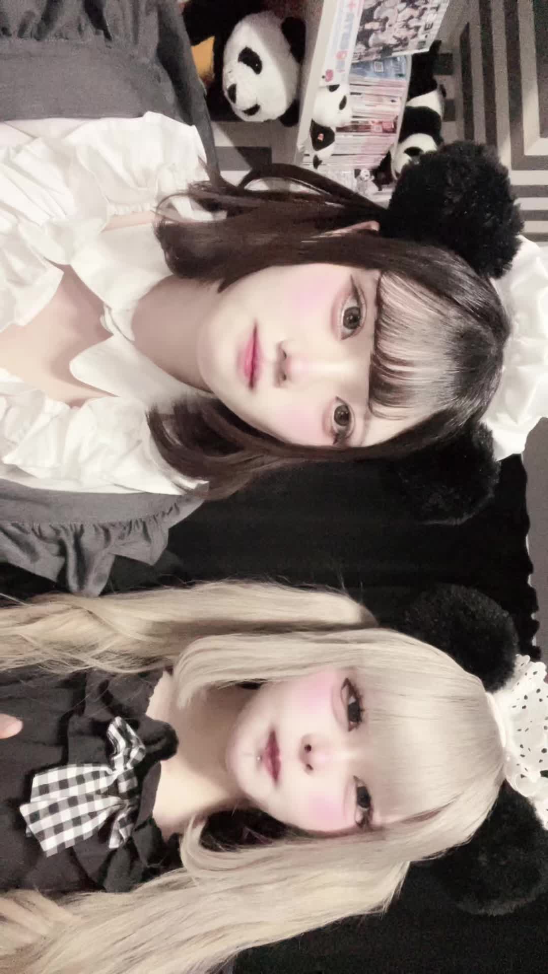 メイドカフェRA ぱんだぱすぽーと ホットニュース 156103