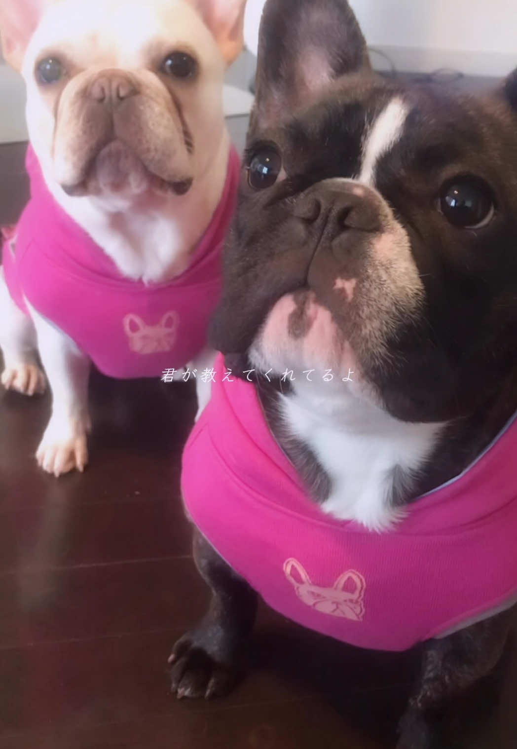 Bar Lounge RUNRUN ホットニュース 157584