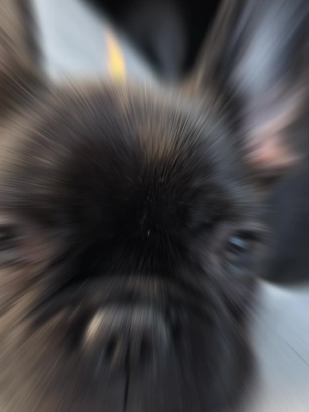 Lounge SKY ホットニュース 158261