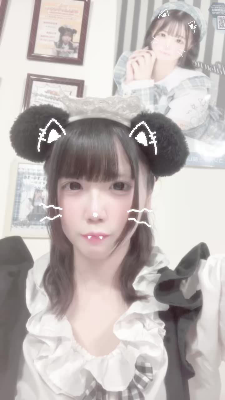 メイドカフェRA ぱんだぱすぽーと ホットニュース 158593