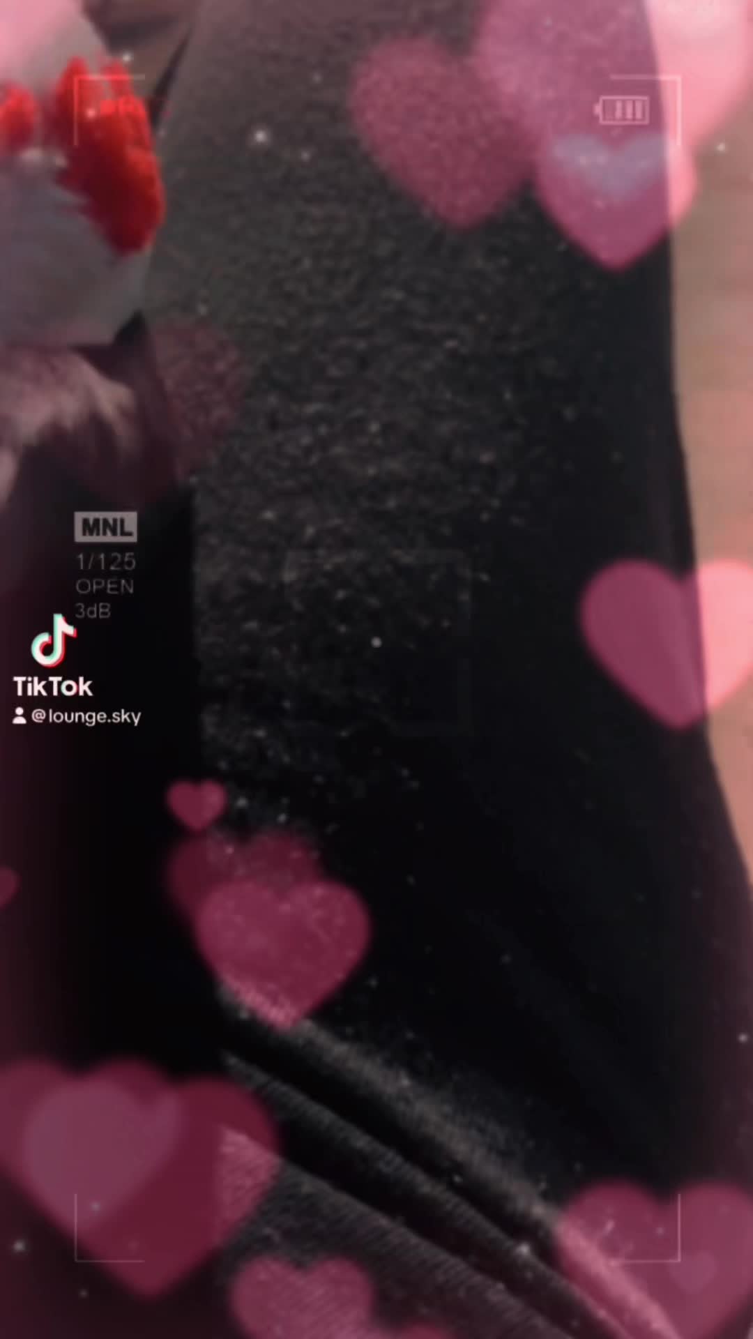 Lounge SKY ホットニュース 159086