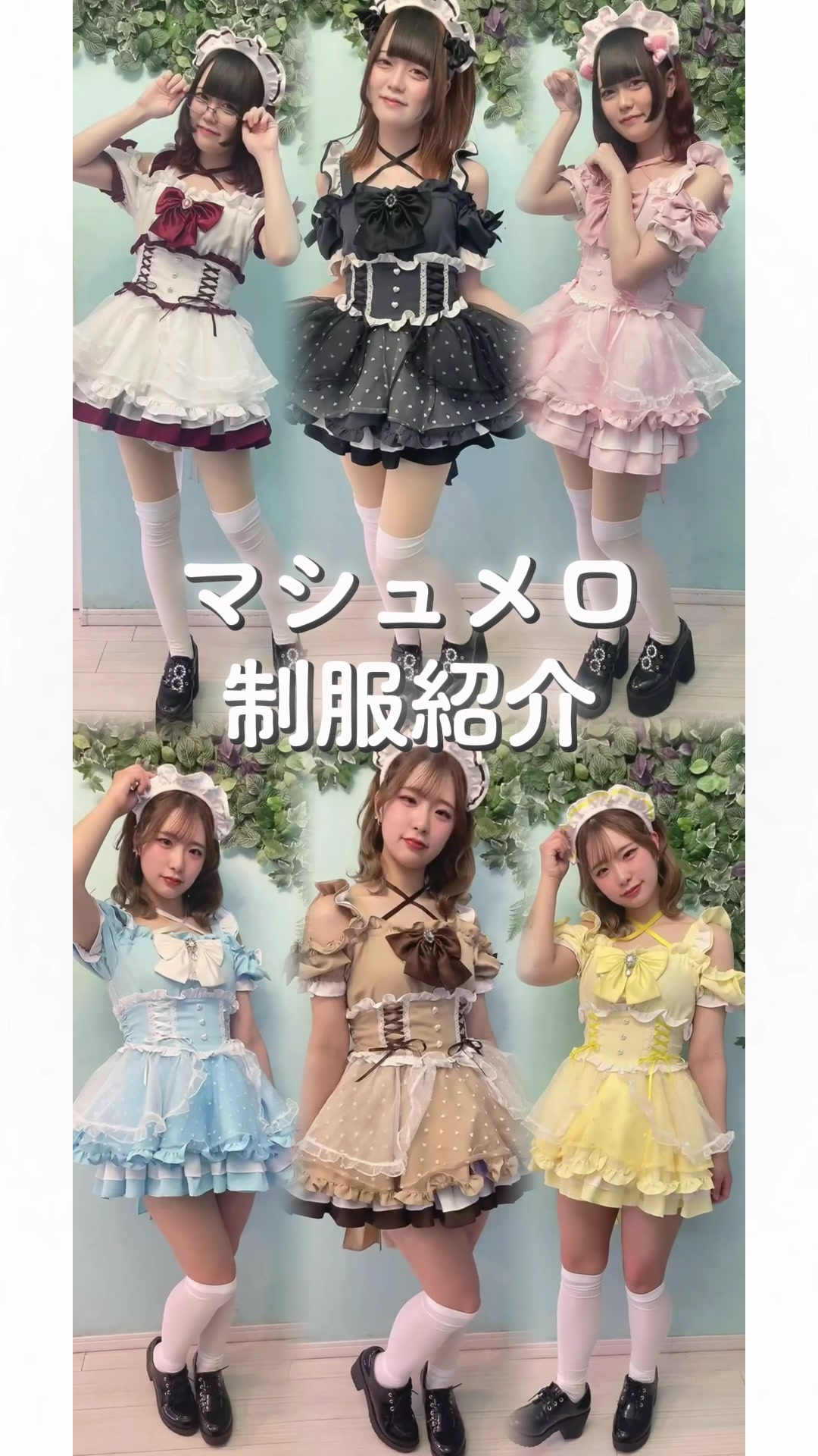 マシュメロ ホットニュース 159535