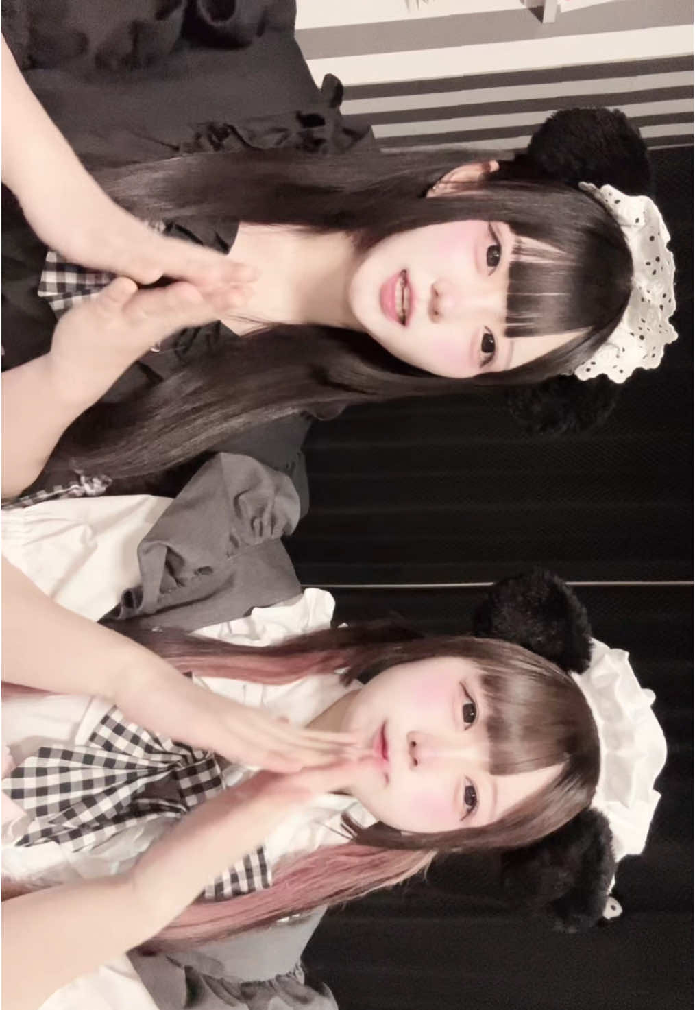 メイドカフェRA ぱんだぱすぽーと ホットニュース 159835