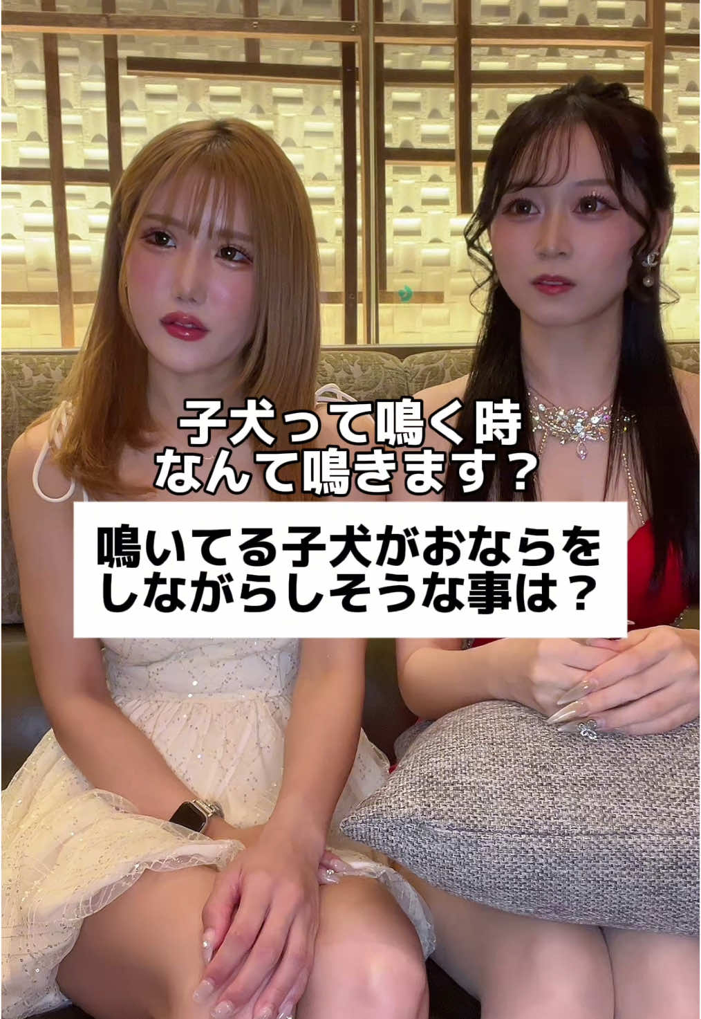 EPISODE ホットニュース 159844