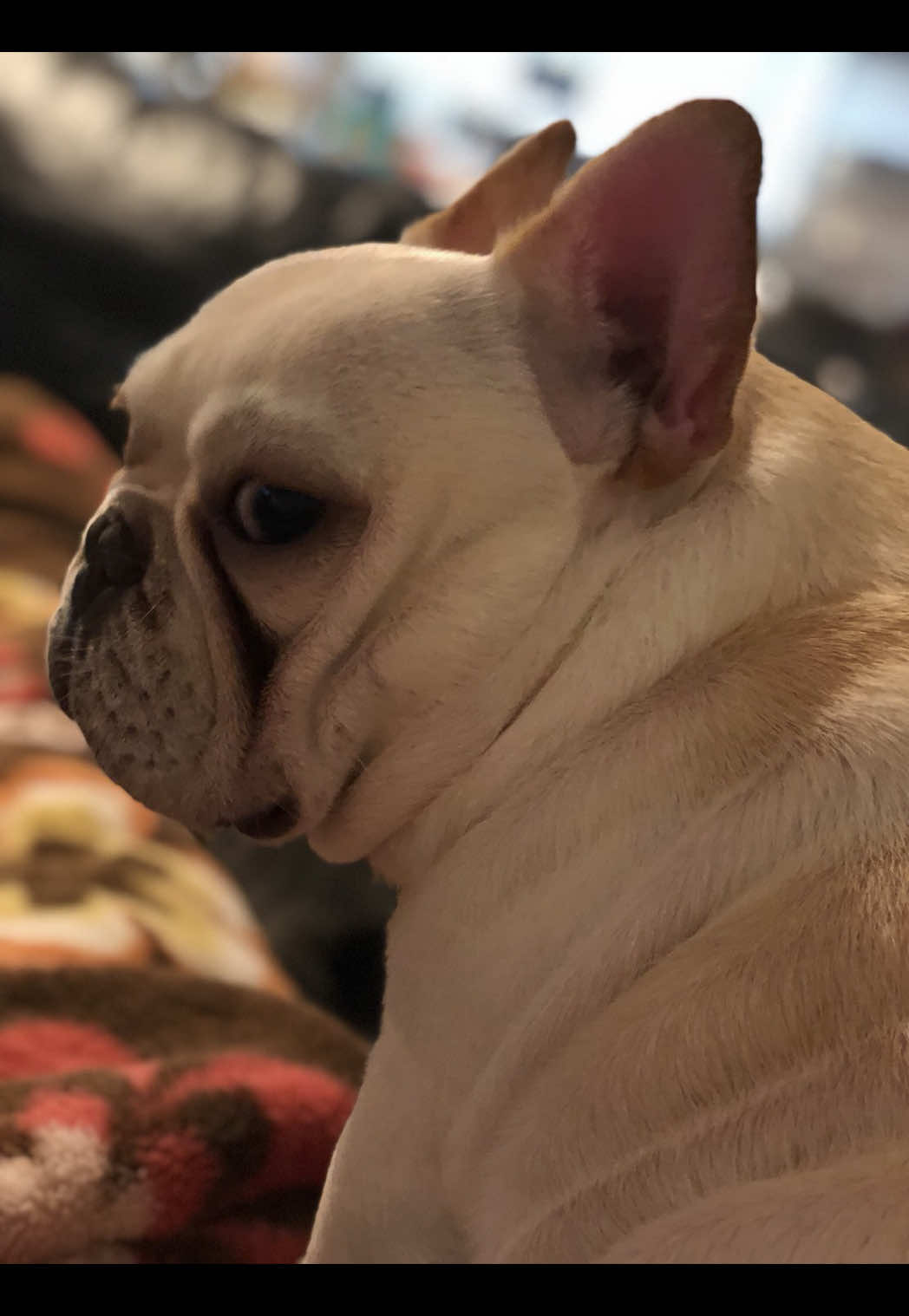 Bar Lounge RUNRUN ホットニュース 160446