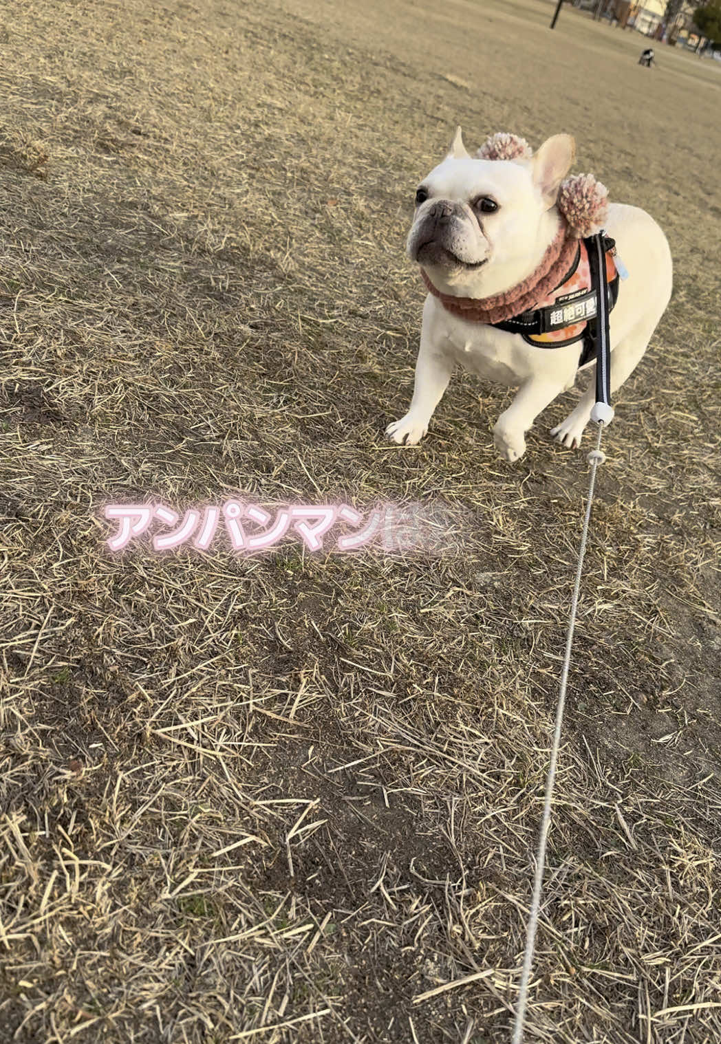 Bar Lounge RUNRUN ホットニュース 160740