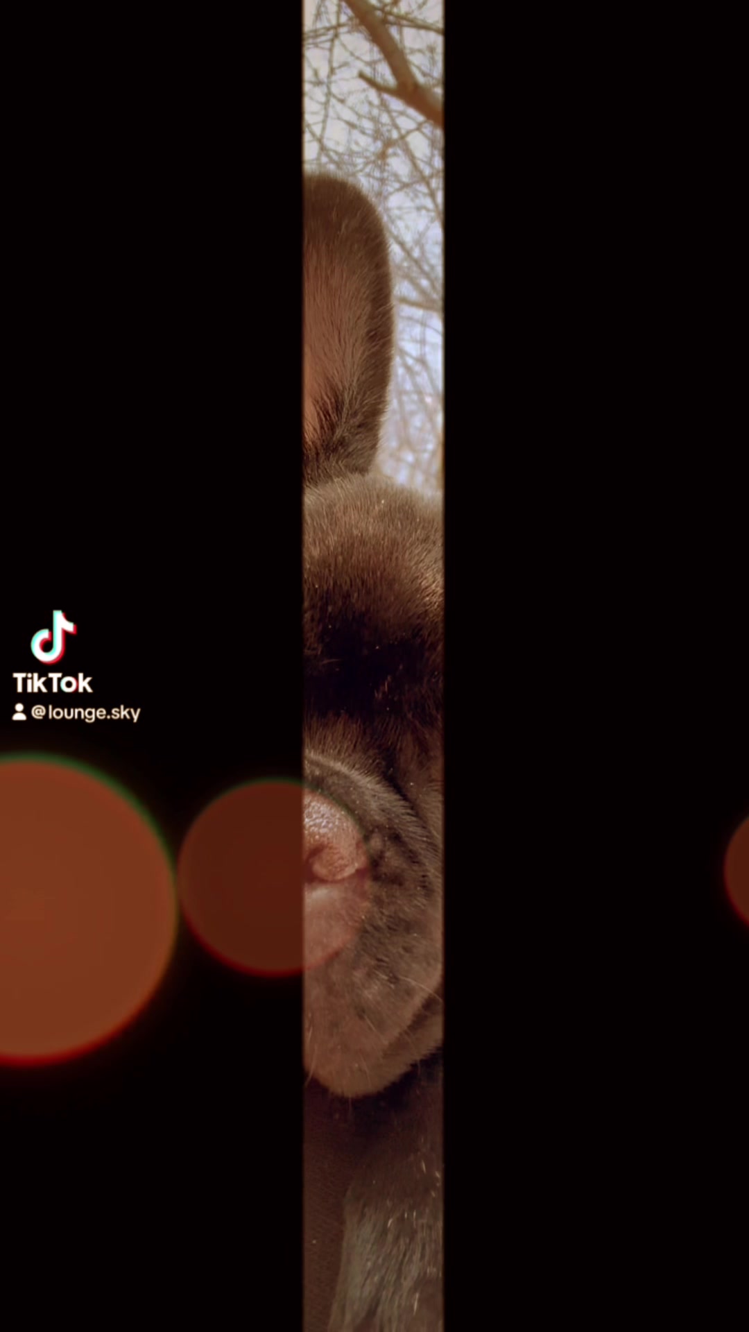 Lounge SKY ホットニュース 161441