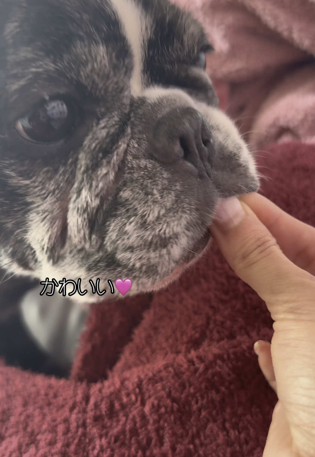 Bar Lounge RUNRUN ホットニュース 162513