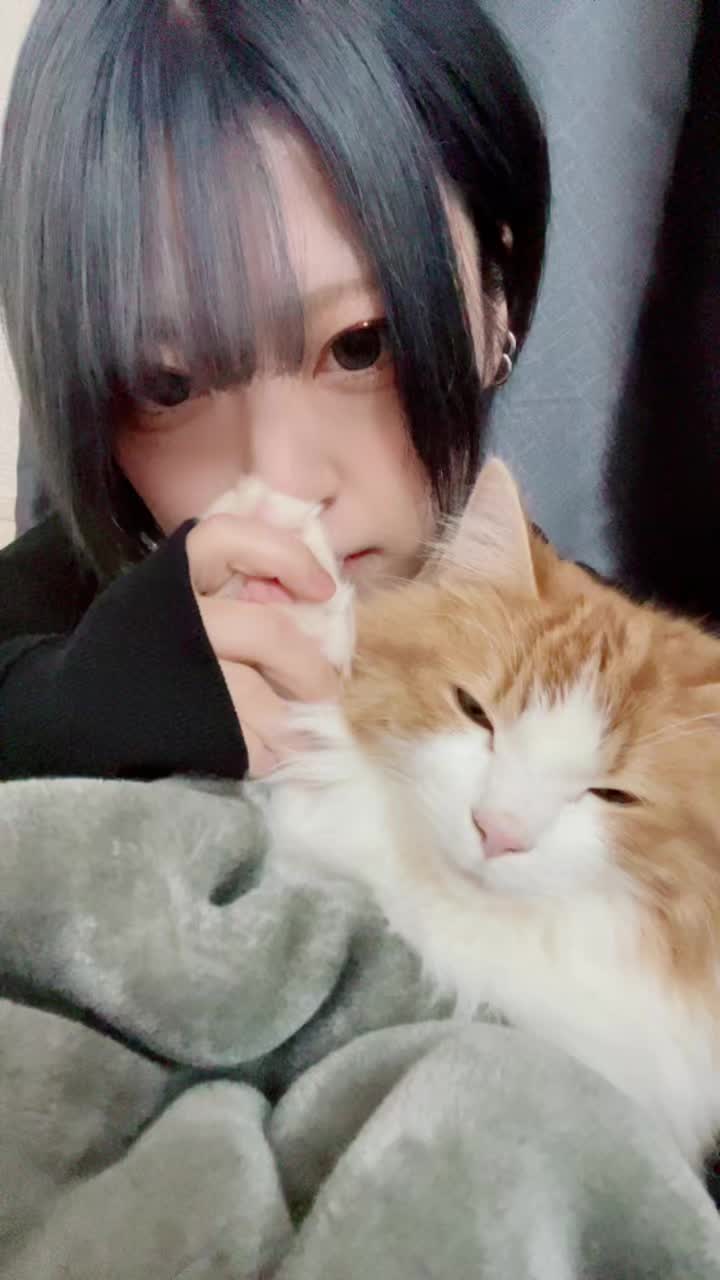 この状況で寝れるぽまえすげえよ