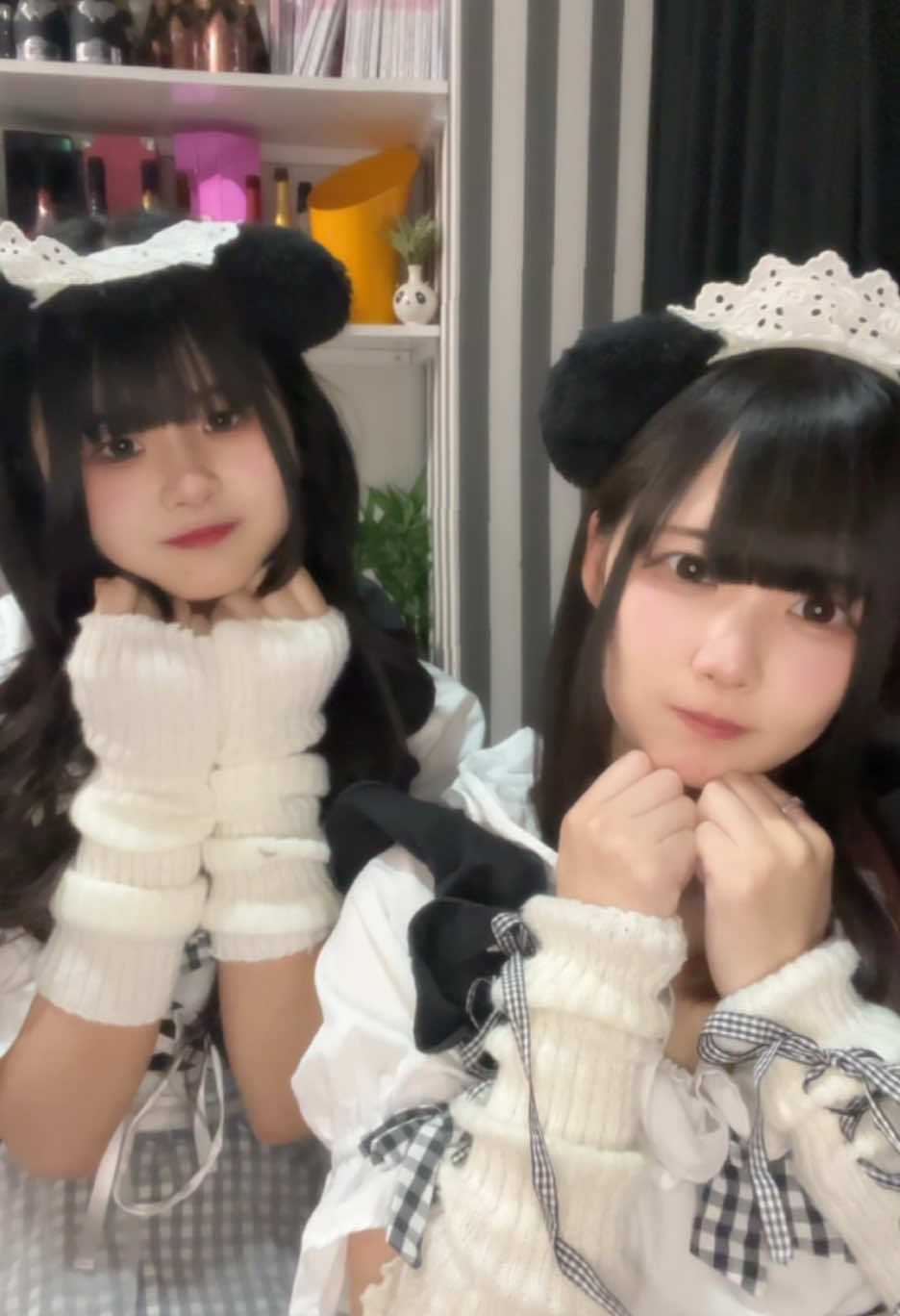 メイドカフェRA ぱんだぱすぽーと ホットニュース 166209