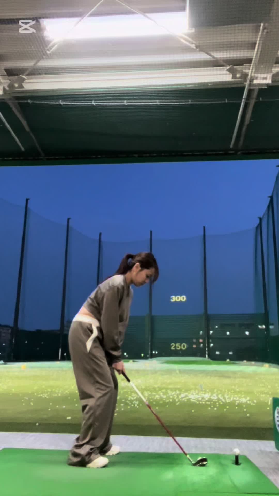 T-TRUTH日記1336474