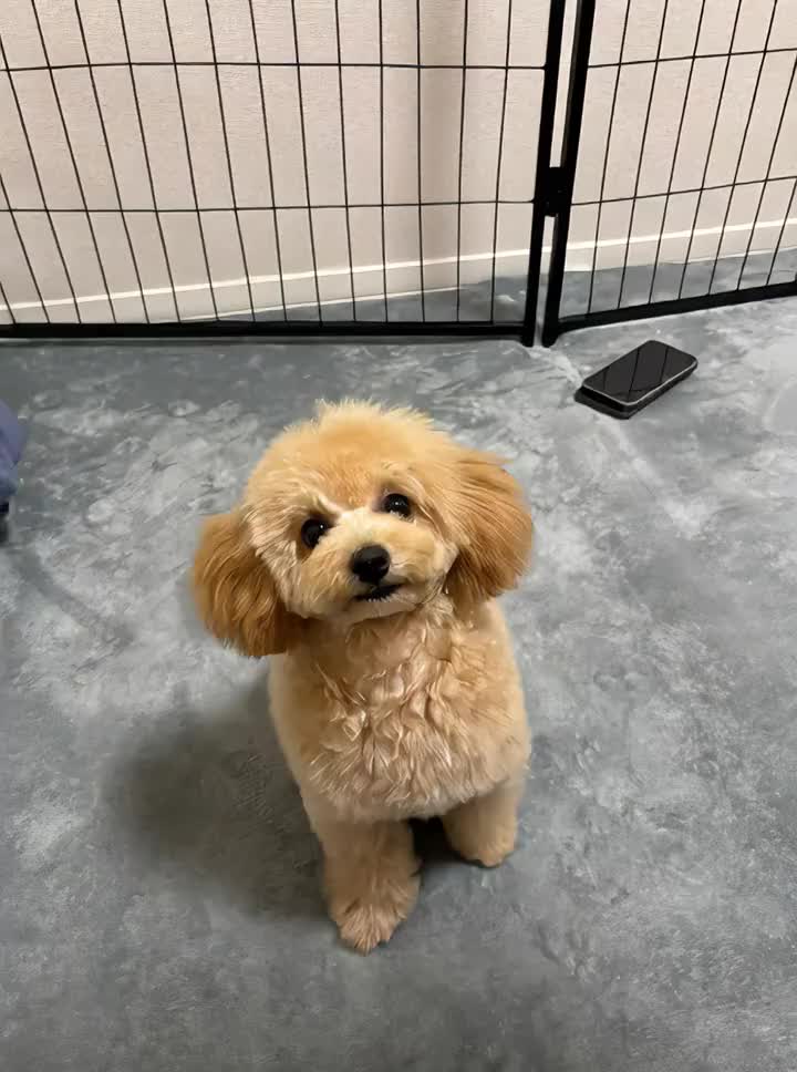 可愛い🥺🩷🩷