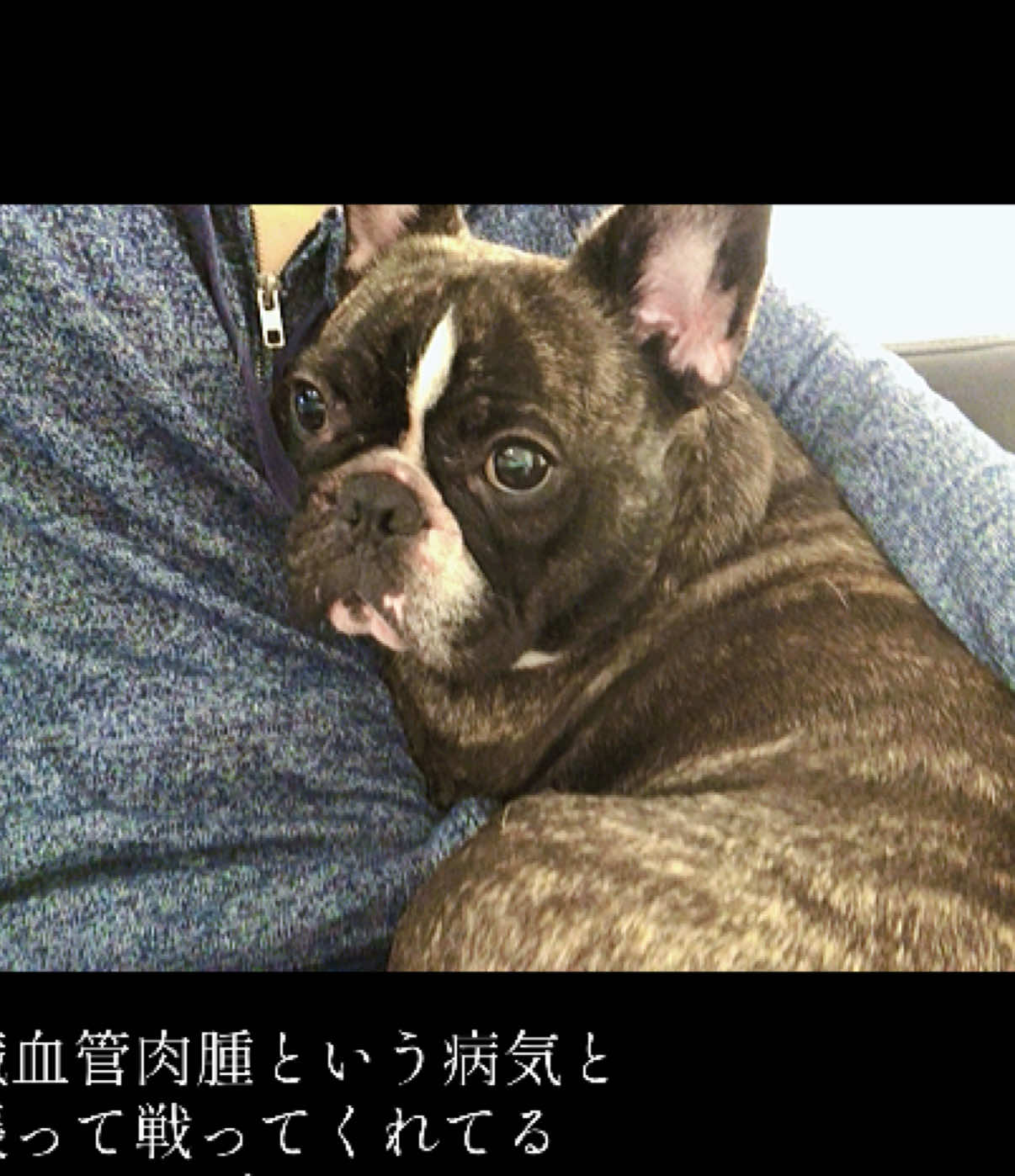 Bar Lounge RUNRUN ホットニュース 168279