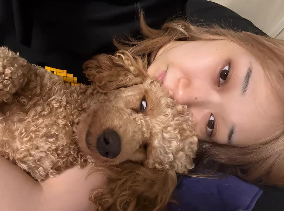 ねえこれ過去一面白いんじゃない？面白い犬のダンス見れると確信してたのに誰ｗｗｗｗｗｗｗｗｗ逆におもろいｗｗｗ #いぬ #aidog #AI #踊る犬 #おすすめにのりたい