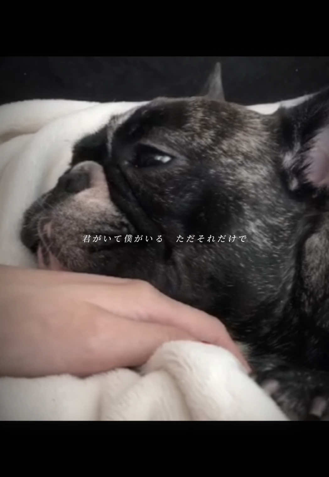 Bar Lounge RUNRUN ホットニュース 169671