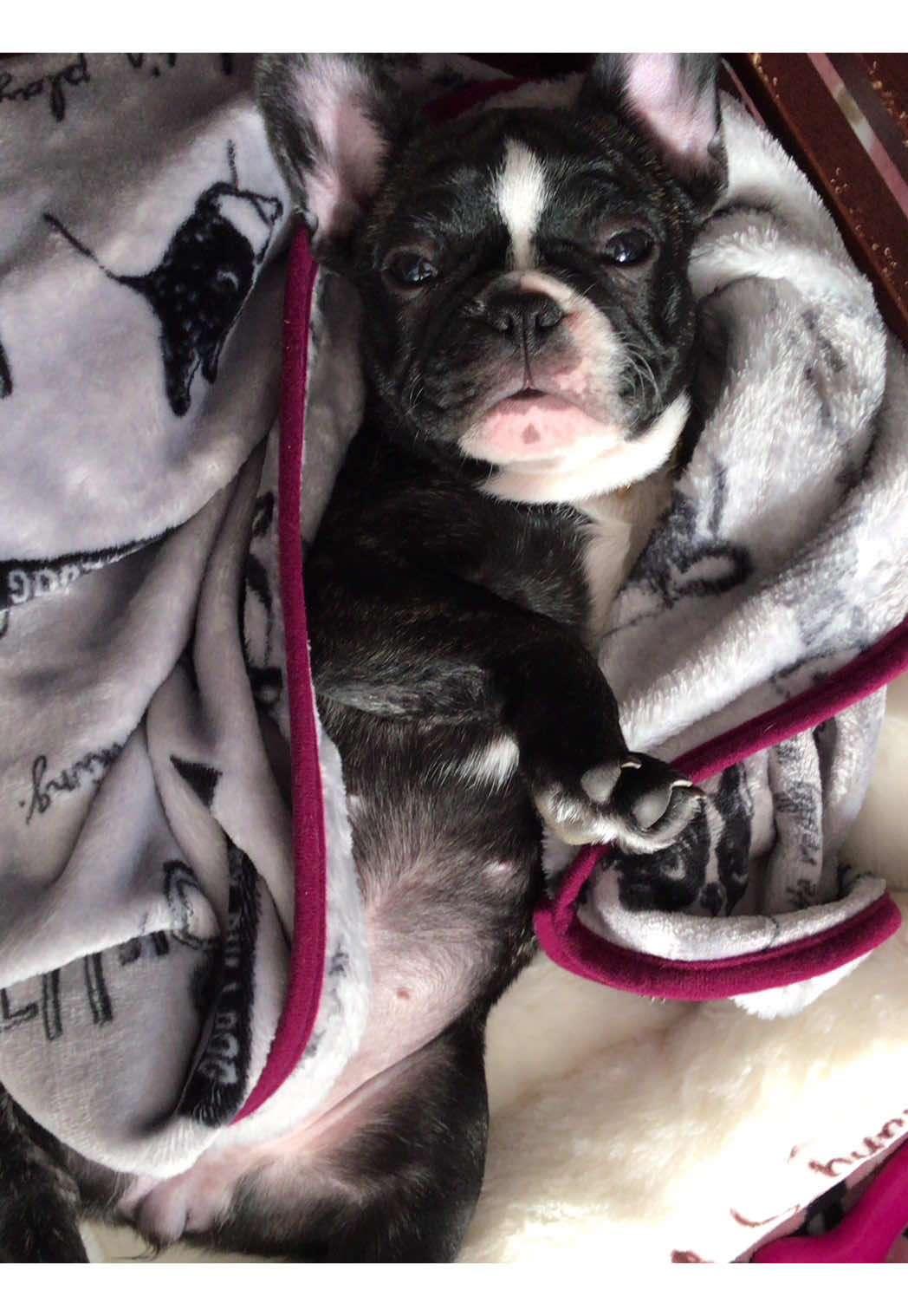 Bar Lounge RUNRUN ホットニュース 169672