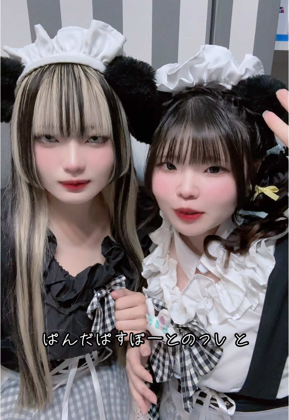 メイドカフェRA ぱんだぱすぽーと ホットニュース 172627