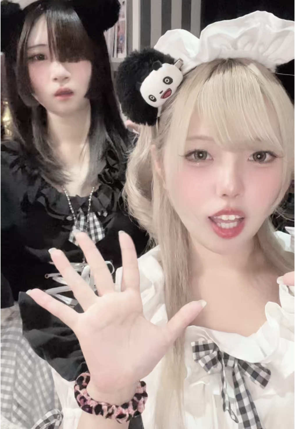 メイドカフェRA ぱんだぱすぽーと ホットニュース 172946