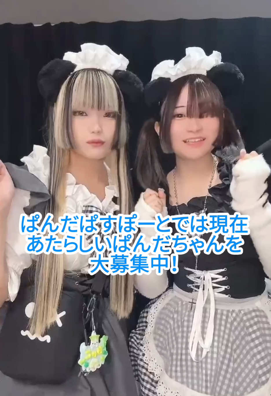 メイドカフェRA ぱんだぱすぽーと ホットニュース 173592