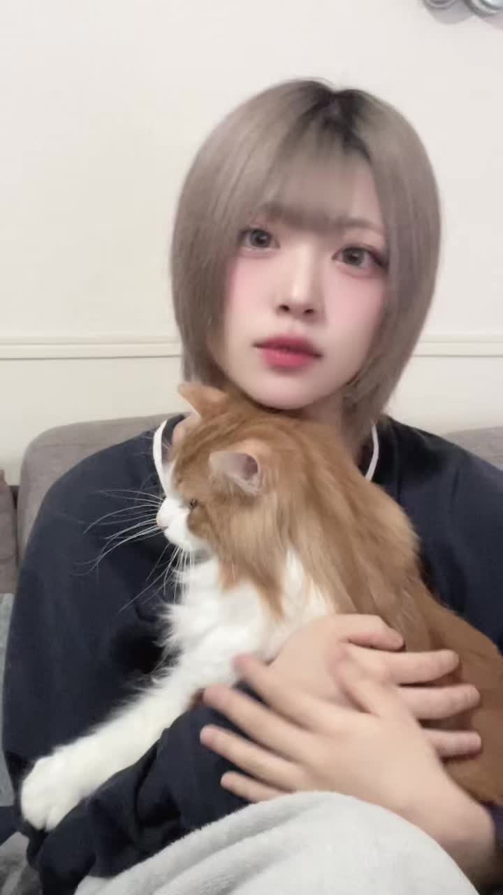 ウルくん6月で1歳になる❣️ 生後半年でうちに来て約半年でバカでかく成長して嬉しい限り🥲❣️