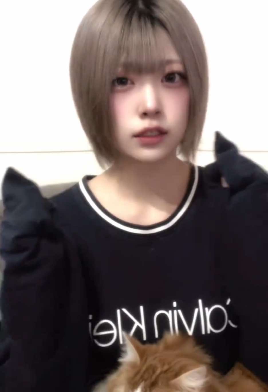 服に猫の毛ついててもOK🐱