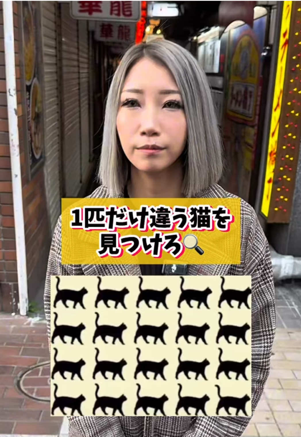 Cafe＆Bar Kitty ホットニュース 174253