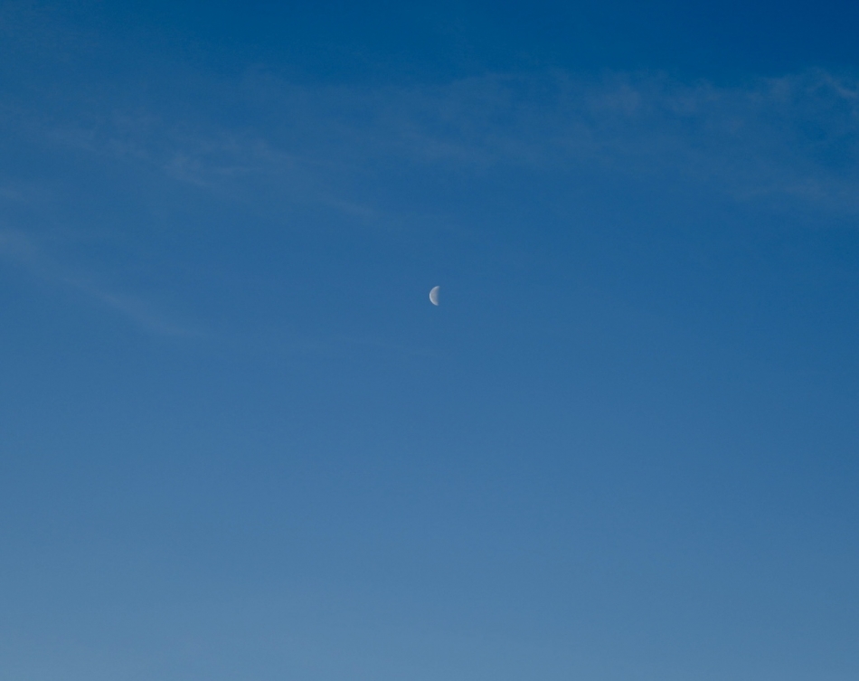 ラウンジ茶々日記1603154