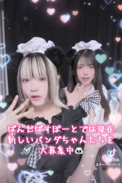 メイドカフェRA ぱんだぱすぽーと ホットニュース 175464