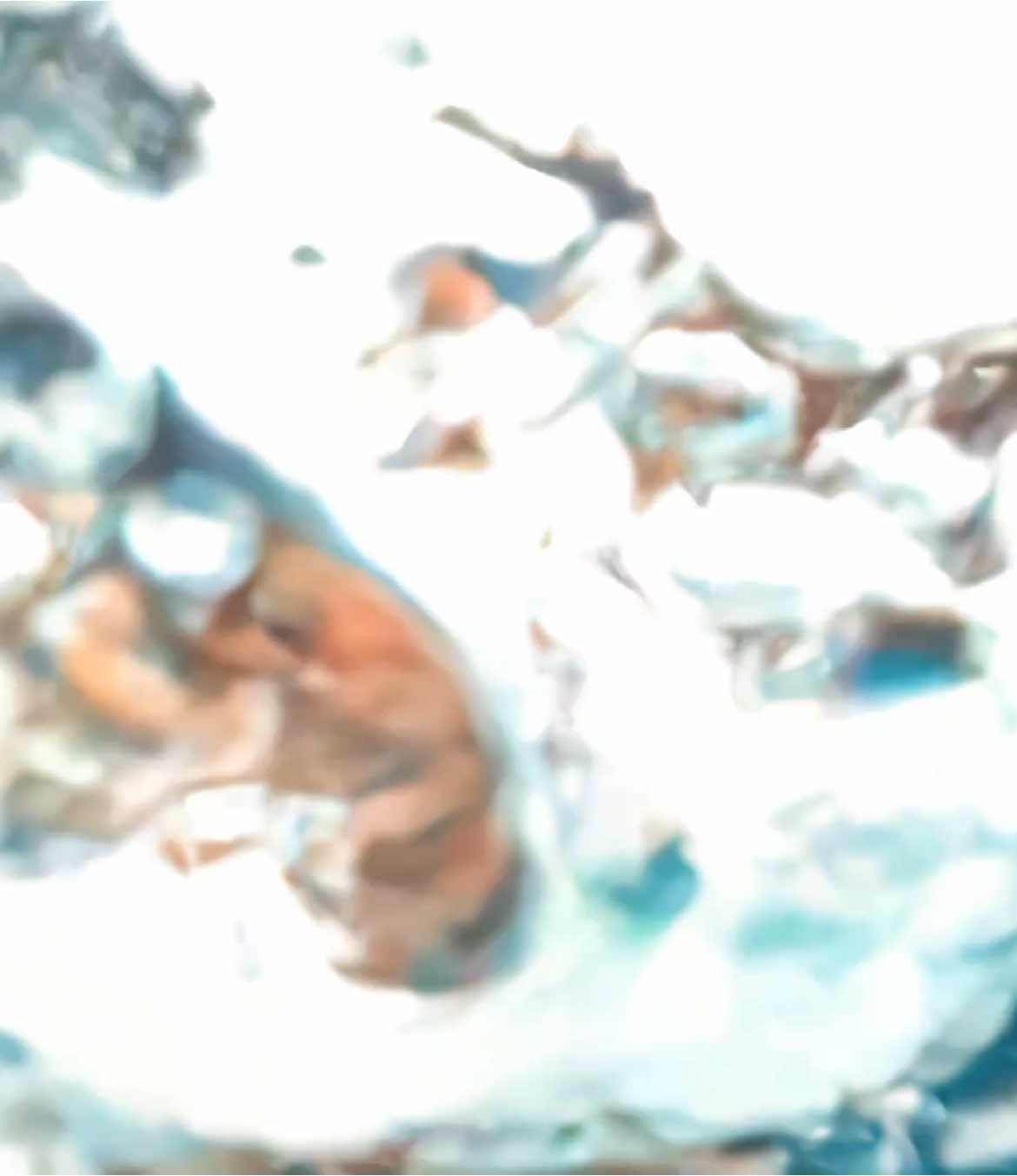 XROS FORGE日記1371609