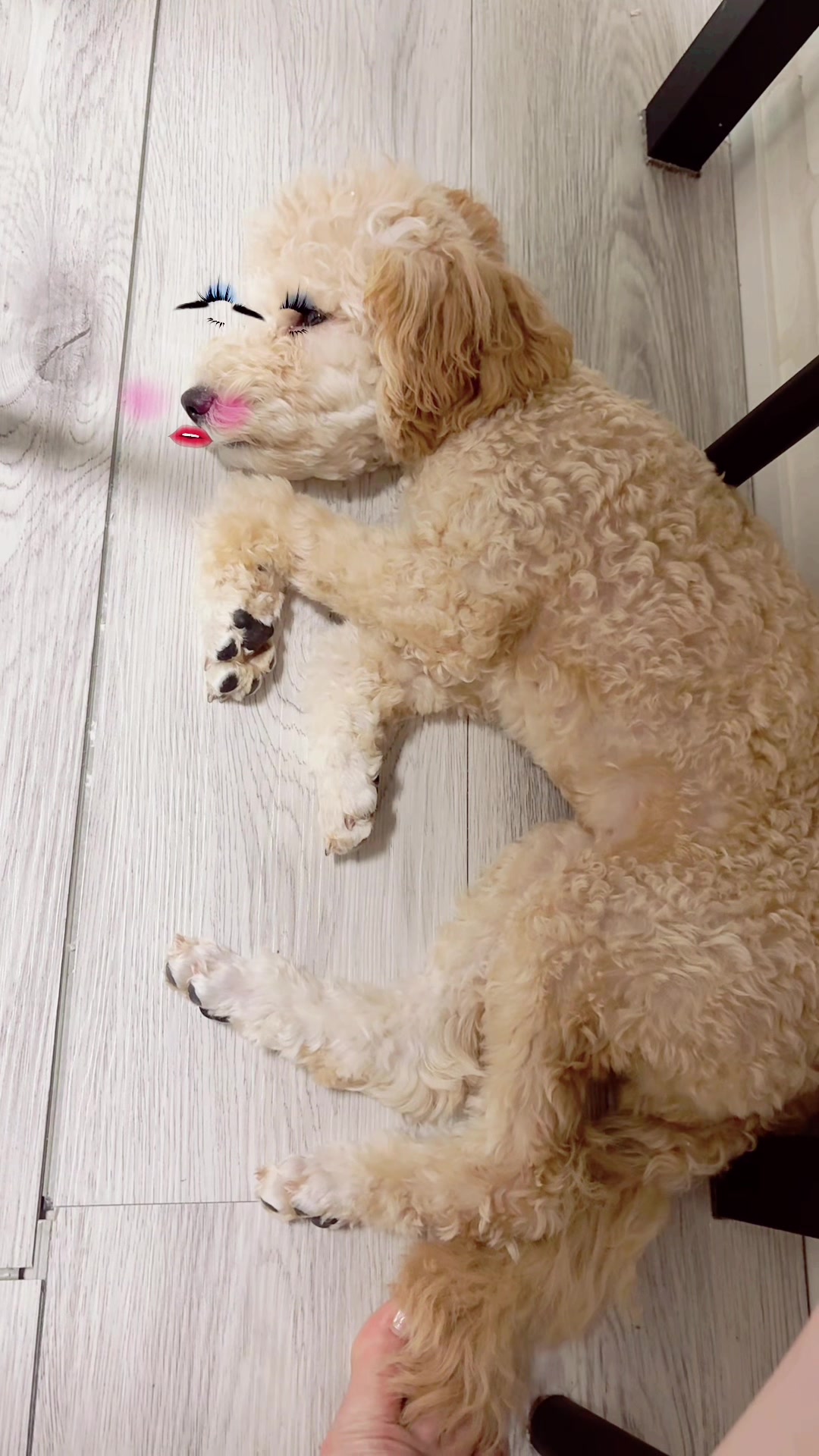 ある夜、ビルの片隅で日記1378027