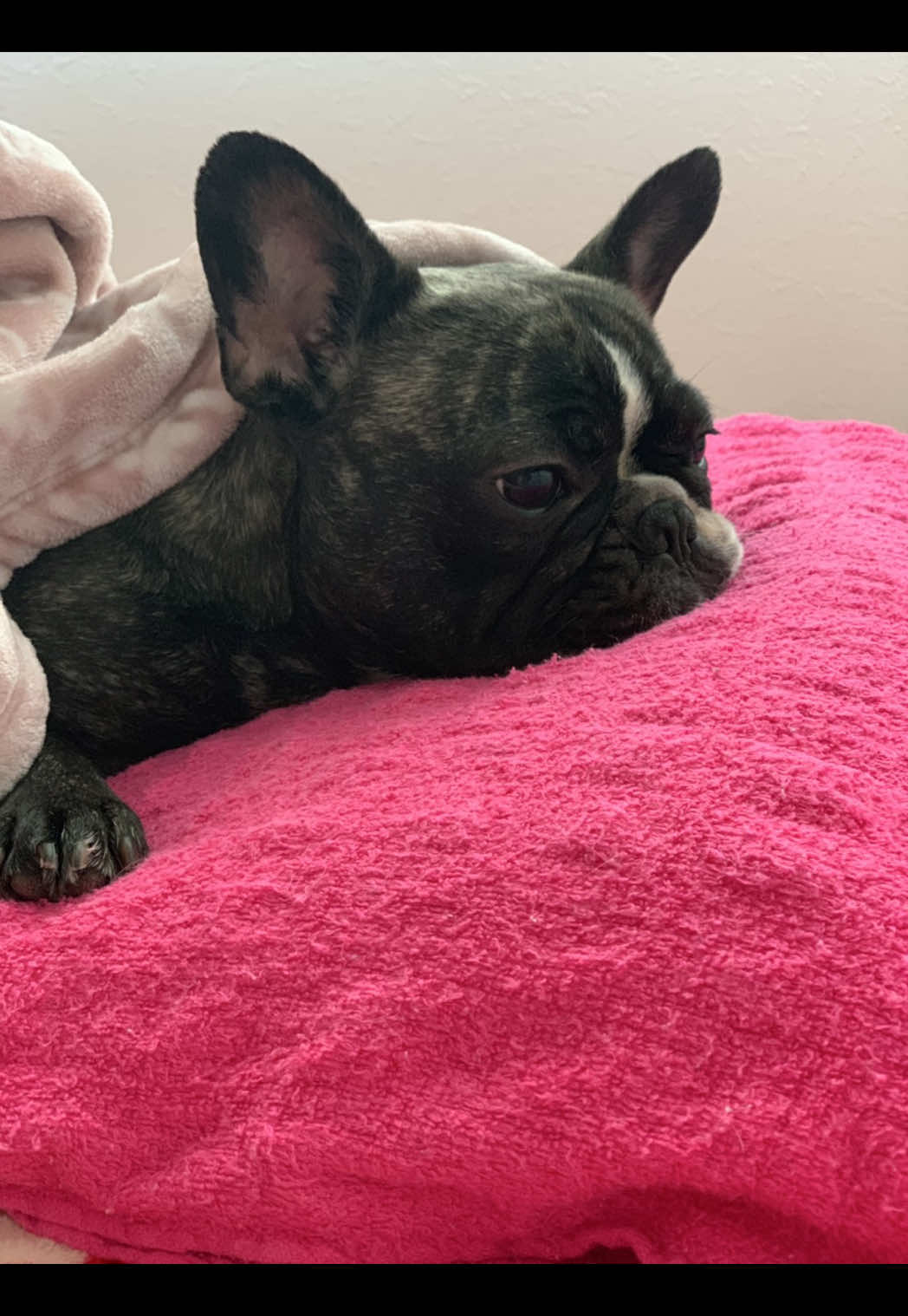 Bar Lounge RUNRUN ホットニュース 180858