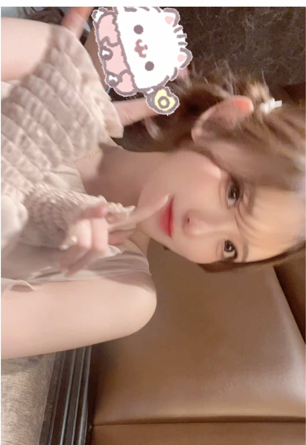 野良猫にしては可愛すぎて好物件。どう思う？#北新地 #ラピス #キャバクラ