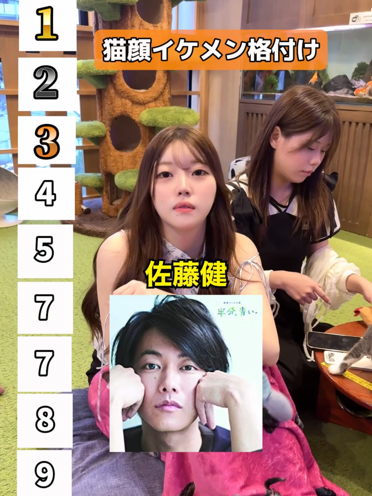 格付けランキング【猫顔芸能人】#キャバ嬢 #かわいい # #ランキング