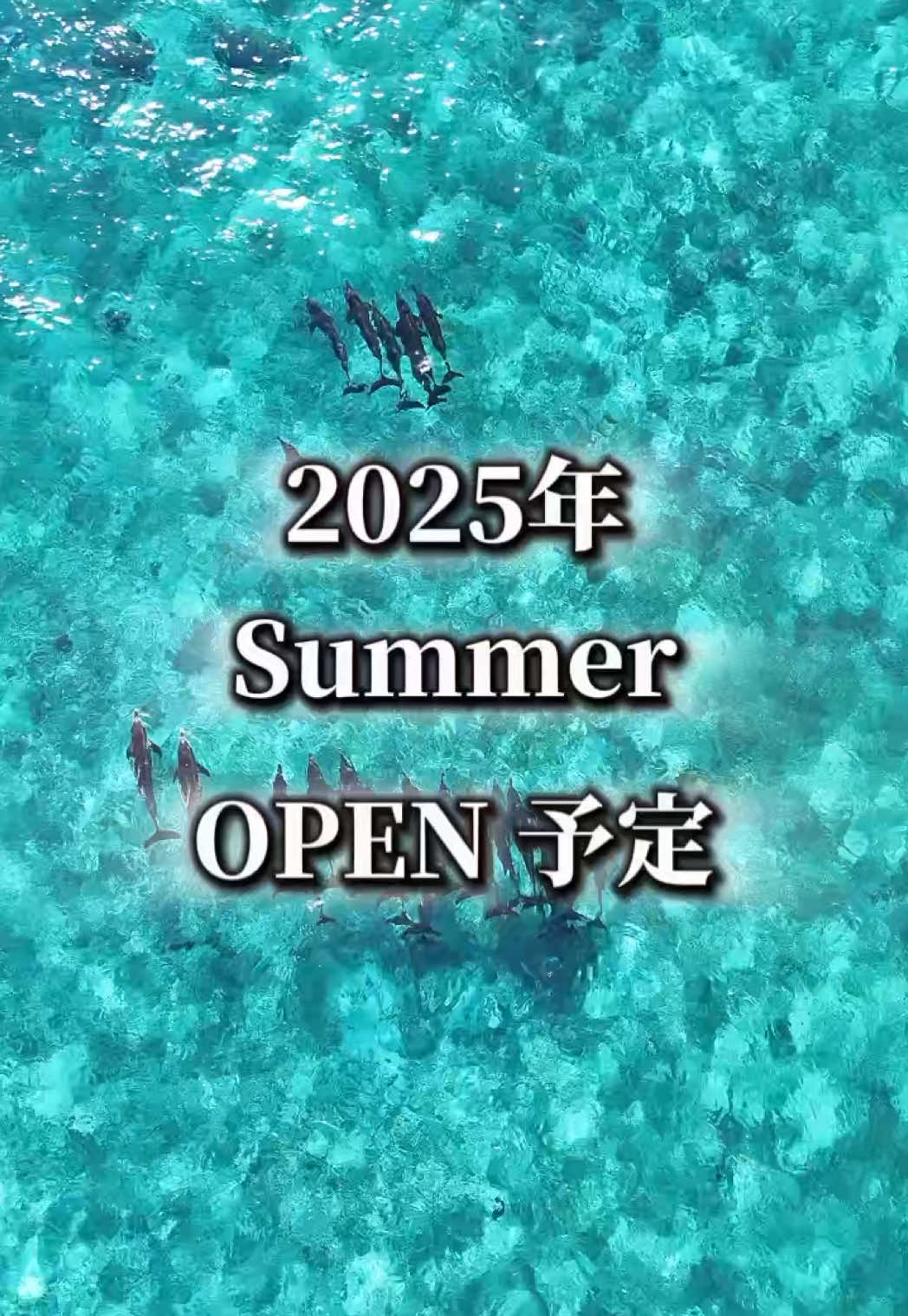 club Baron Blue ホットニュース 184200