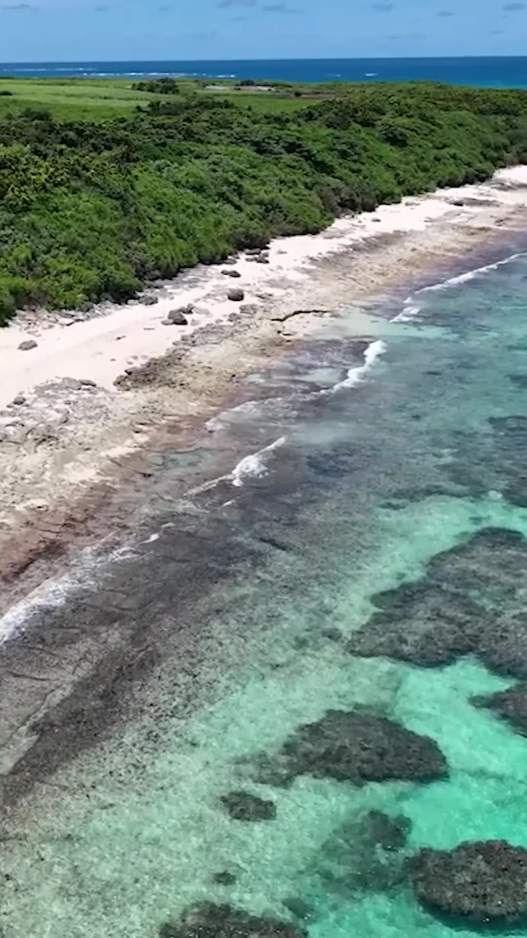 club Baron Blue ホットニュース 184204