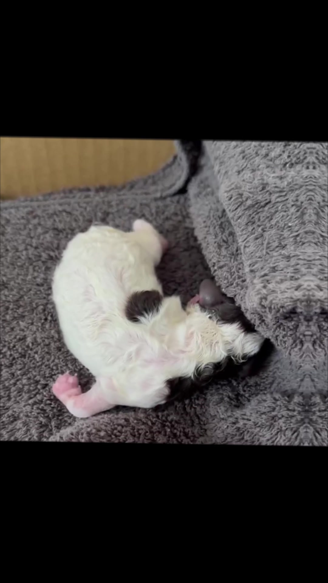 AMATERAS日記1416787