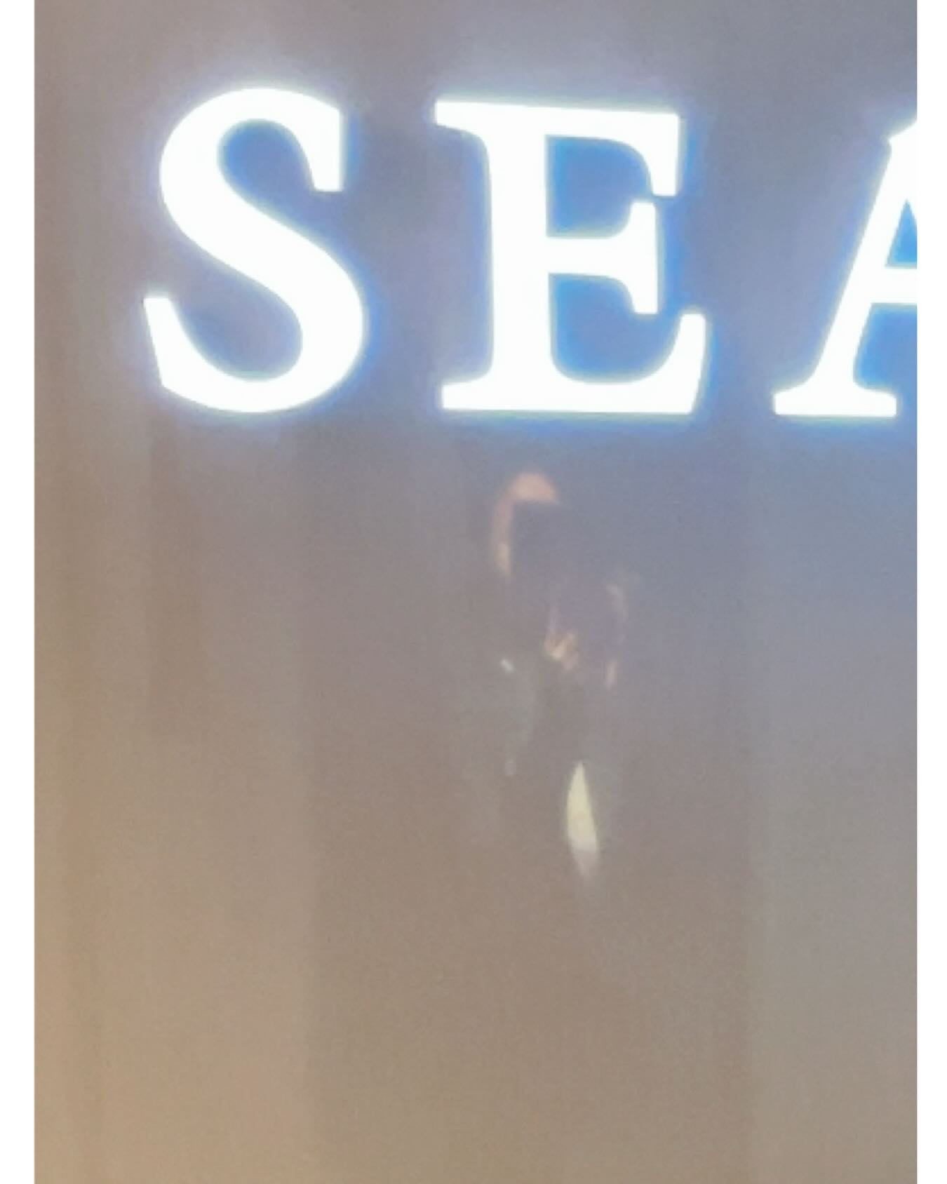 SEASIDE IKEBUKURO ホットニュース 186590