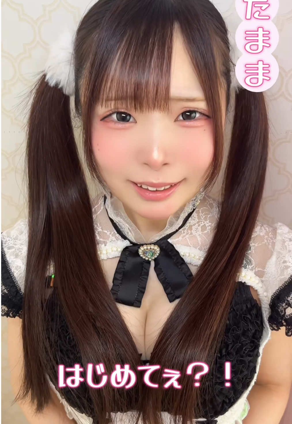 CAFE＆BAR キミの彼女になりたい！ ホットニュース 186923