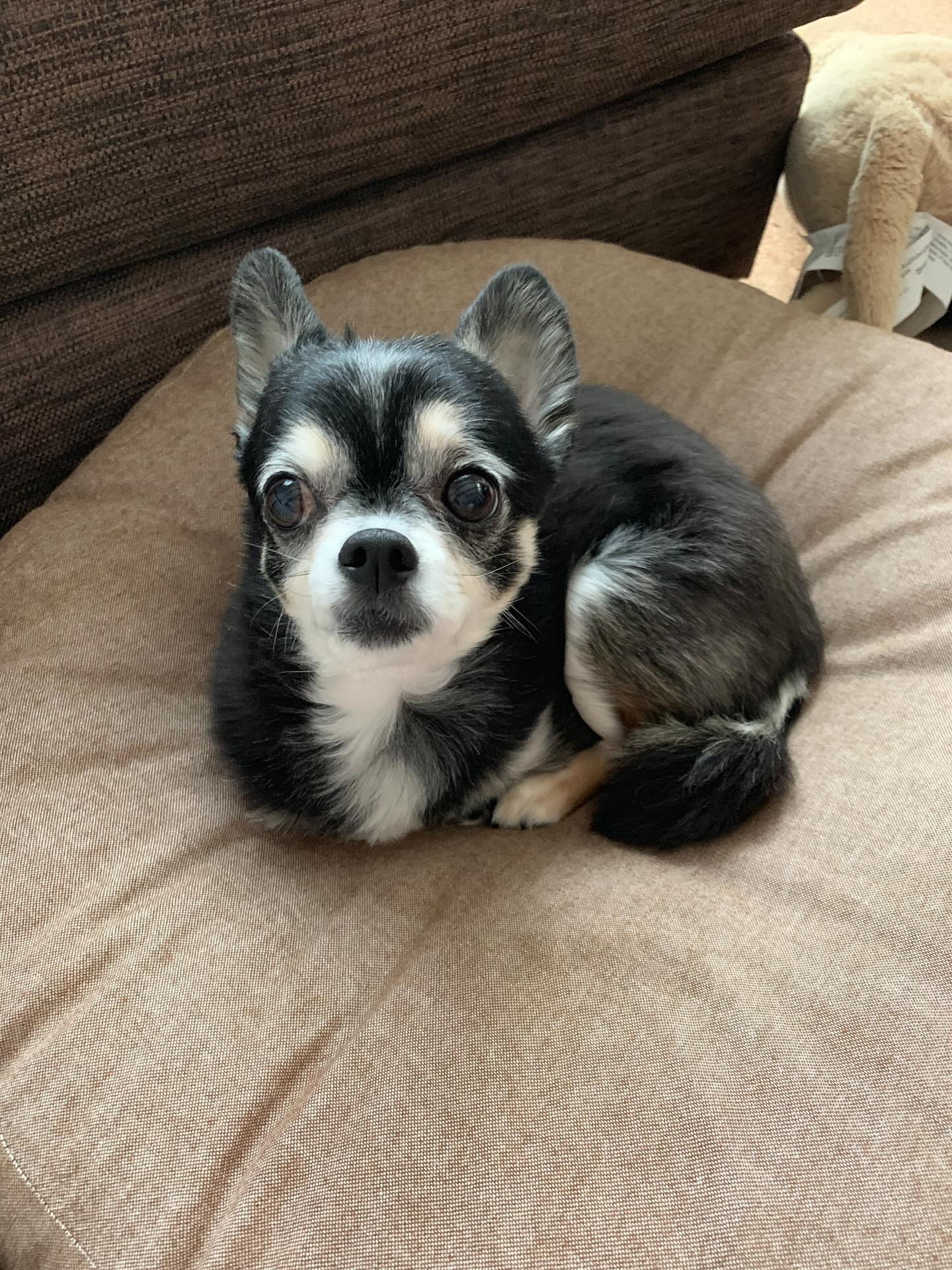 みりおん ホットニュース 187348