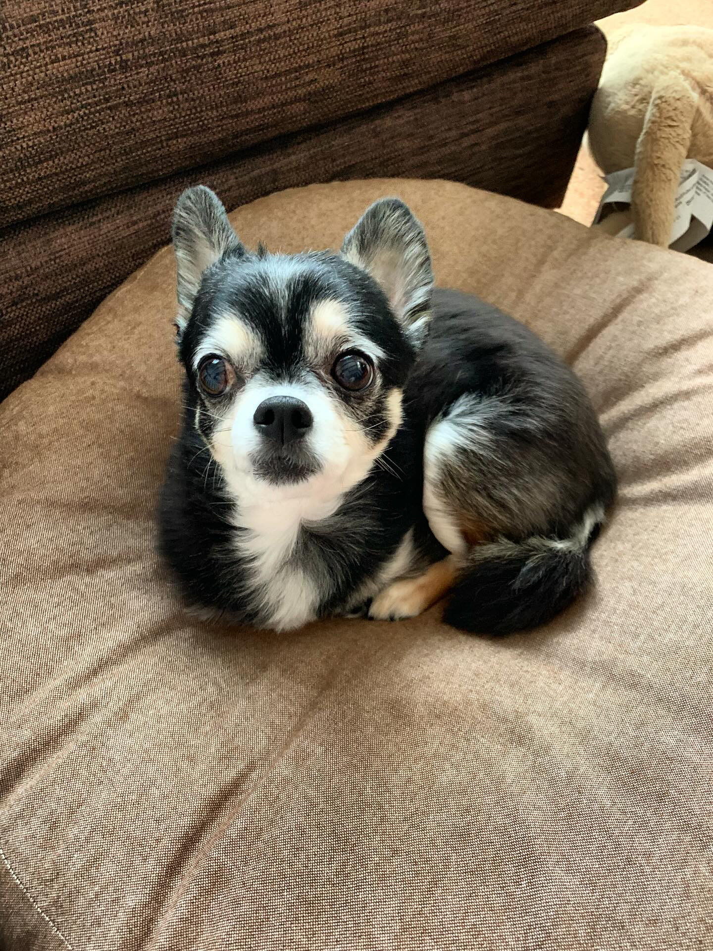 みりおん ホットニュース 187358