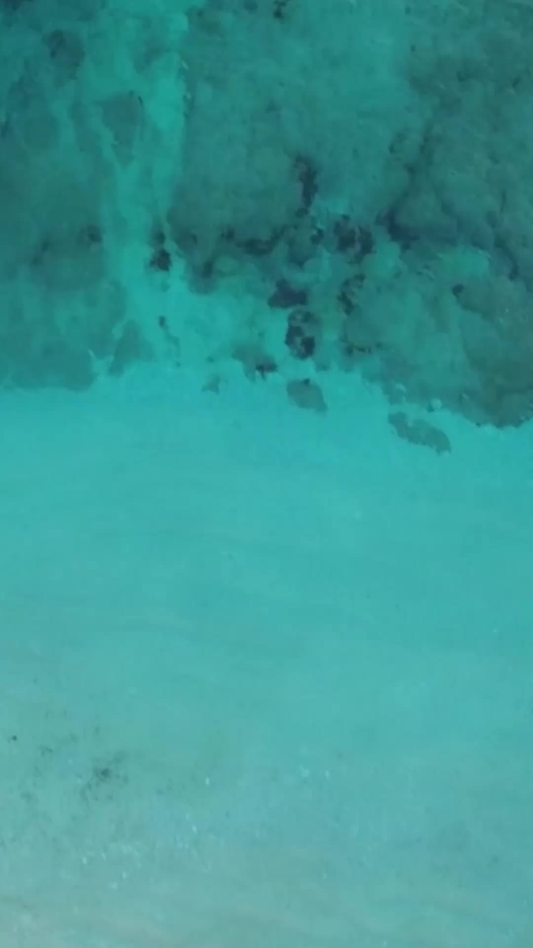 club Baron Blue ホットニュース 188364