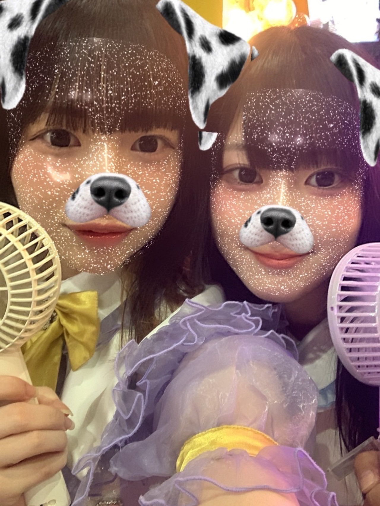 ARCHE CASTLE ホットニュース 188925