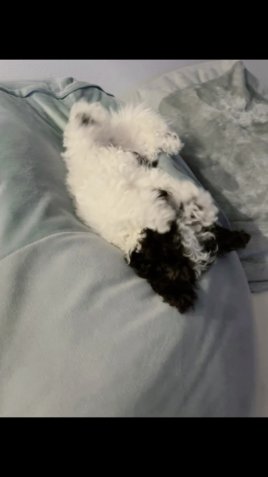 AMATERAS日記1437978