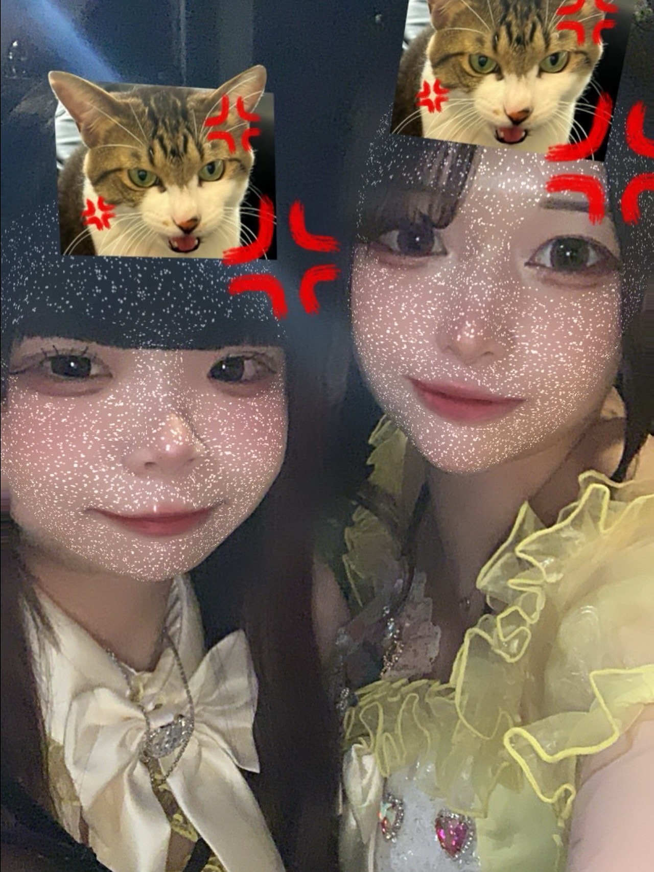 ARCHE CASTLE ホットニュース 190164