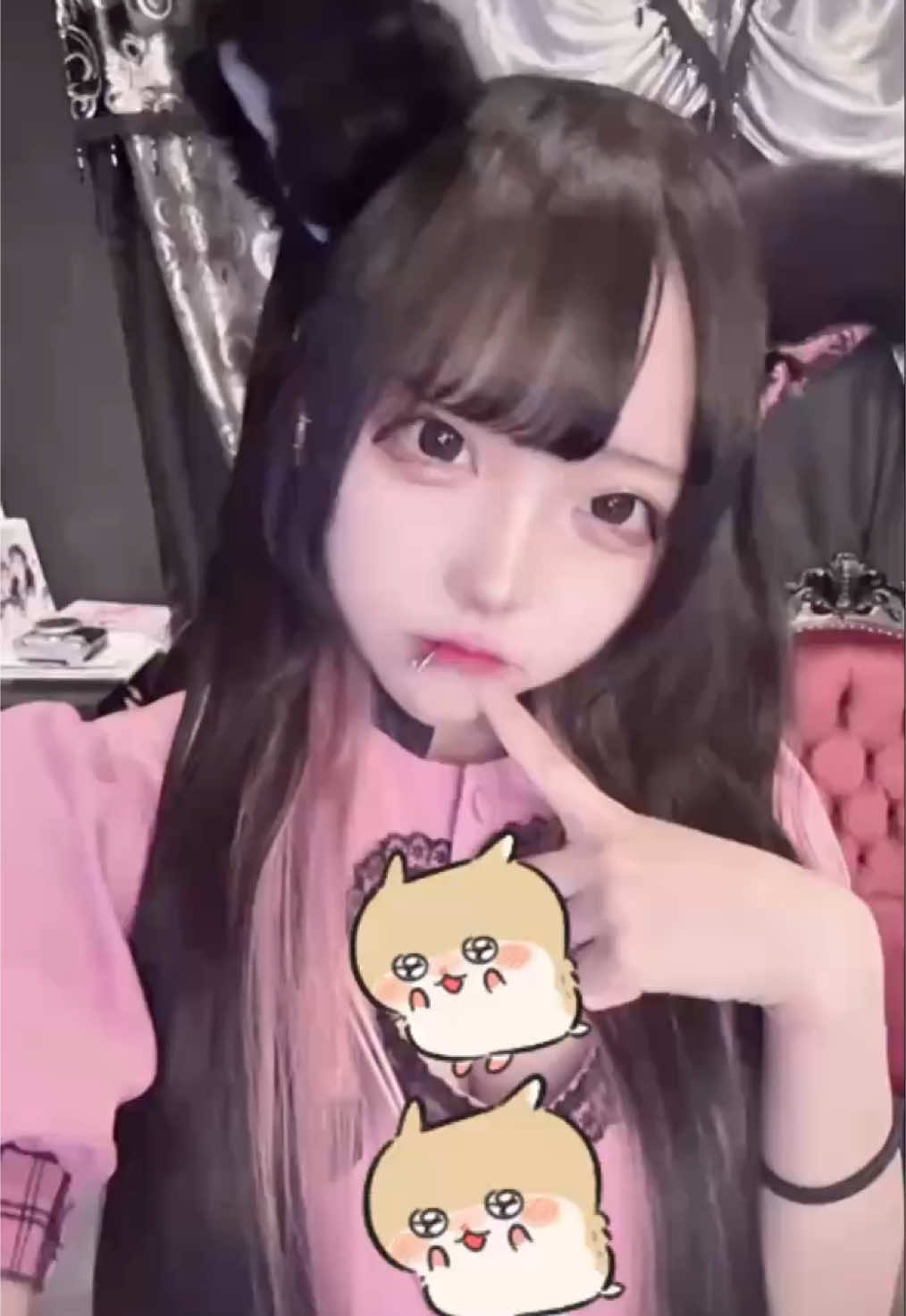 ぷりしーにゃ ホットニュース 190260