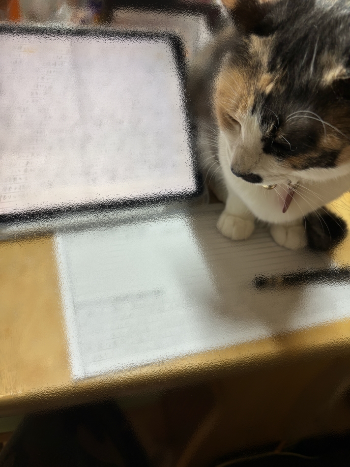 ガールズバー ビアンベニュー日記1572319