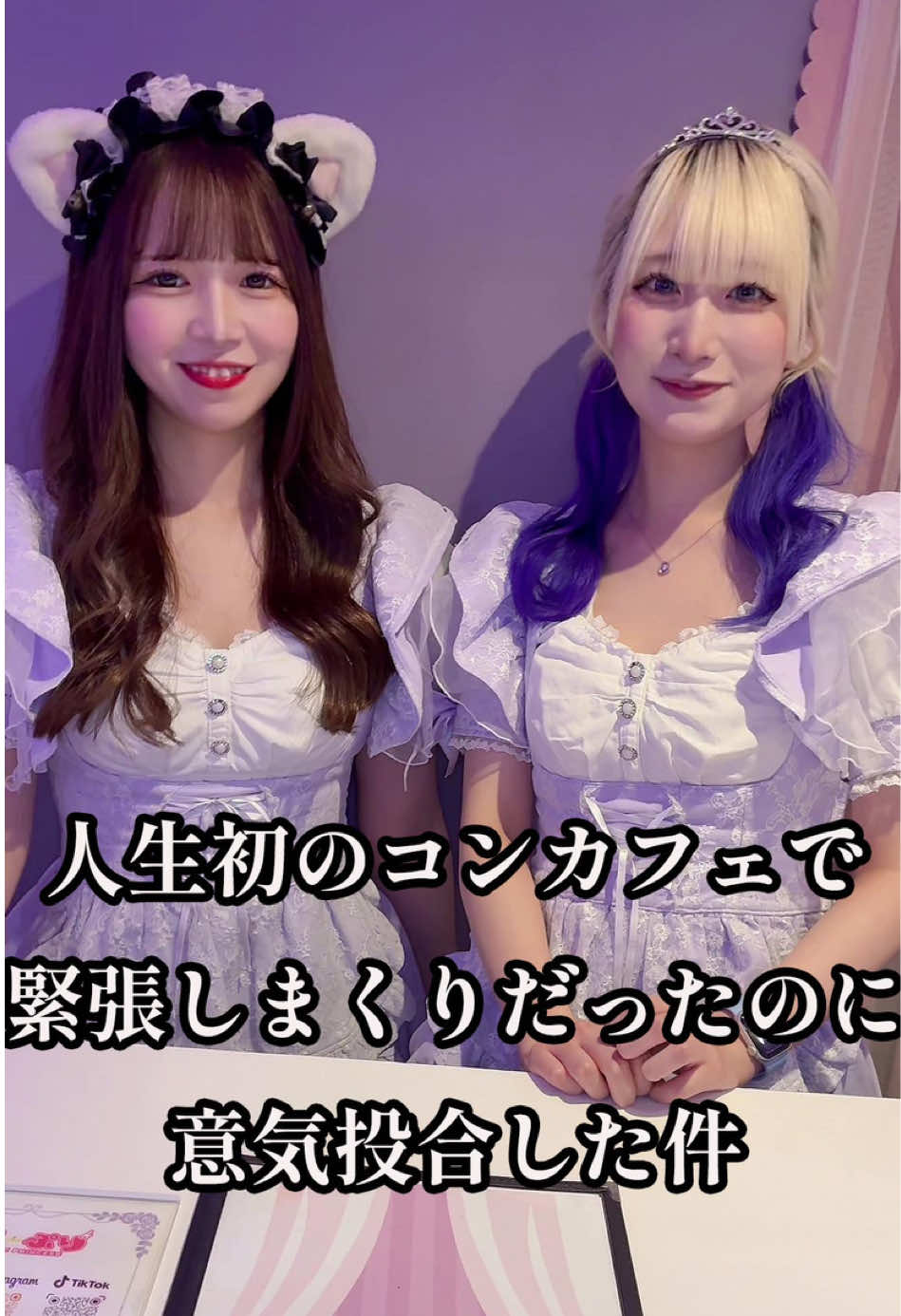 HIGH-SPEC PRINCESS ホットニュース 190866