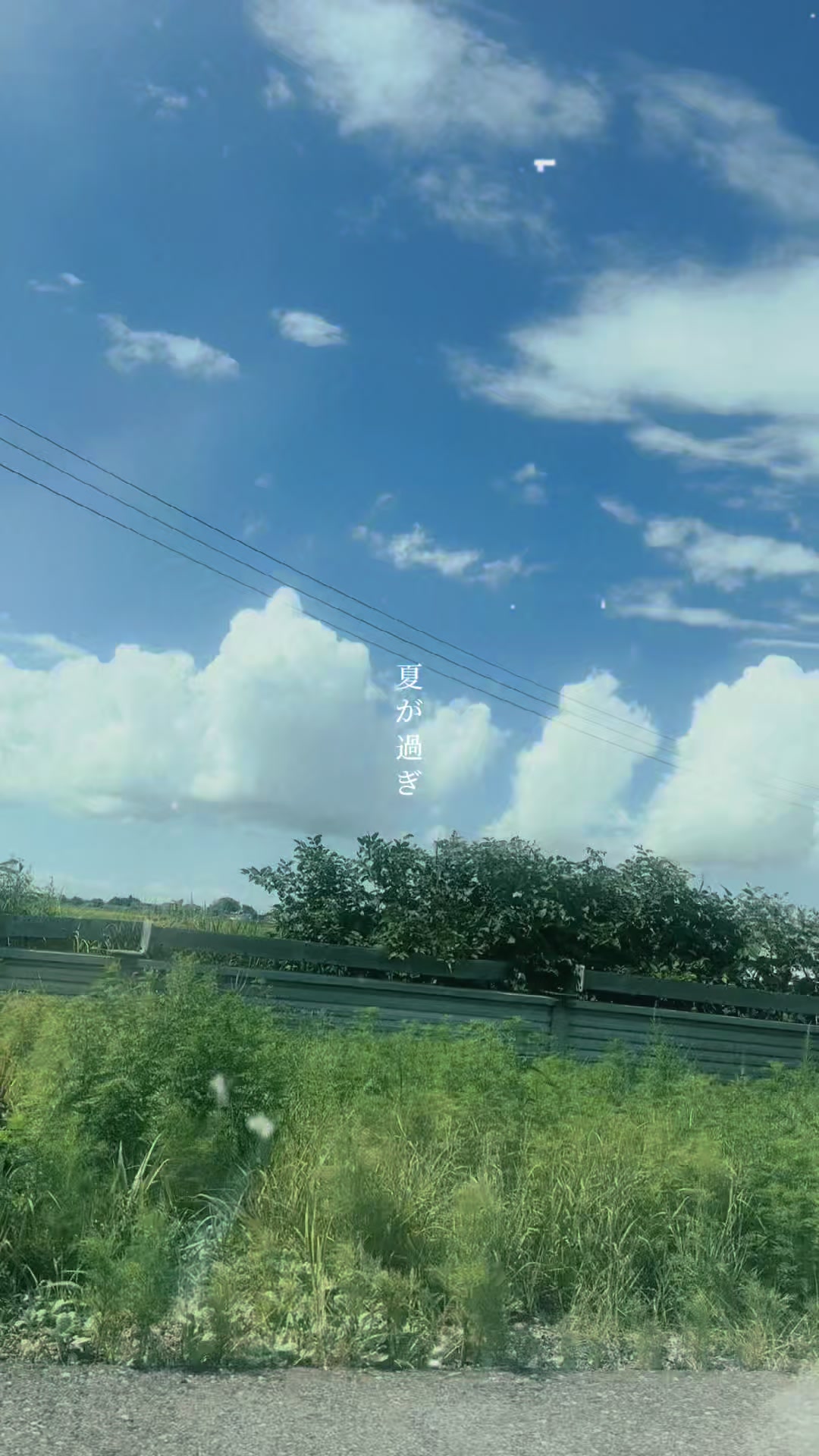 青森の夏🌾ねぶたとねぷた👹#青森 #田舎 #ねぶた #青森市 #夏の思い出