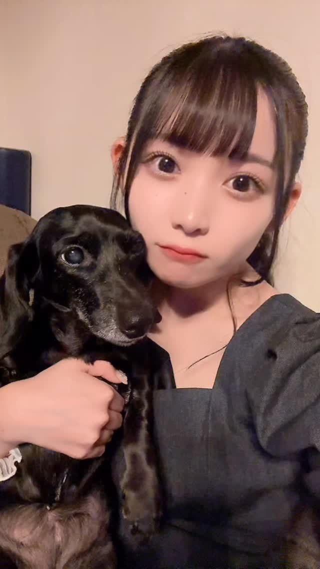 実家わんこ🐶

#レジャラース #ランマル #フェニックス #キャバ嬢 #キャバクラ #池袋 #歌舞伎 #歌舞伎町 #池袋キャバクラ #歌舞伎町キャバクラ #犬 #ダックス #ダックスフンド