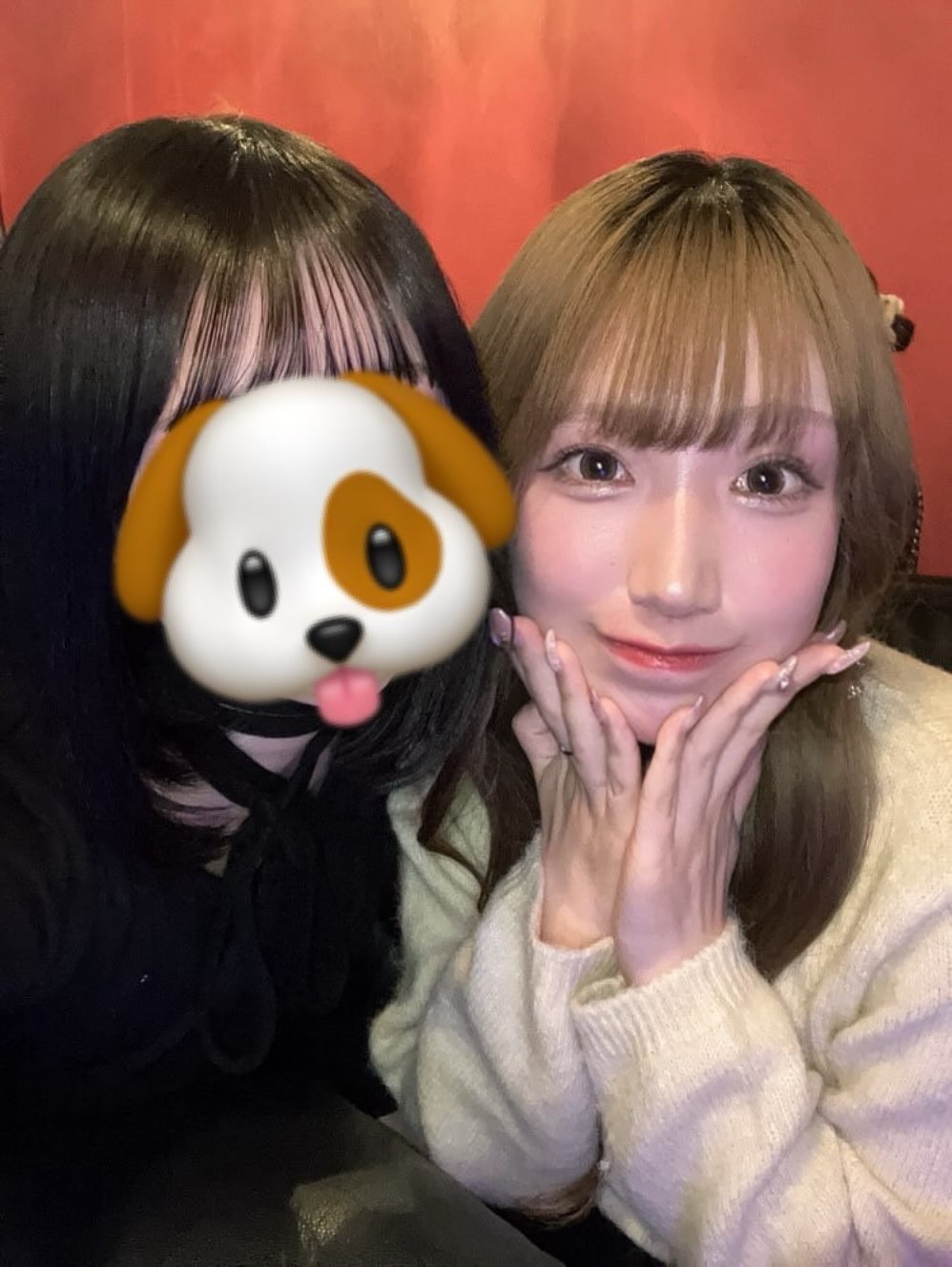 コンセプトカフェYOZYA ホットニュース 191881